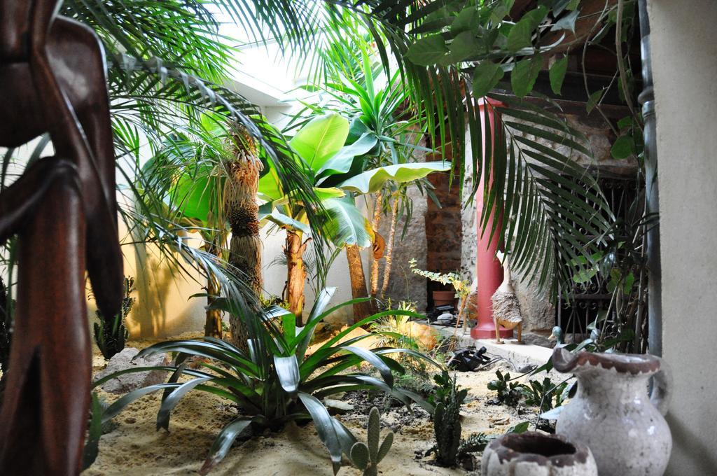 Saint-Pierre-la-Palud Chambre D'Hotes La Noue المظهر الخارجي الصورة
